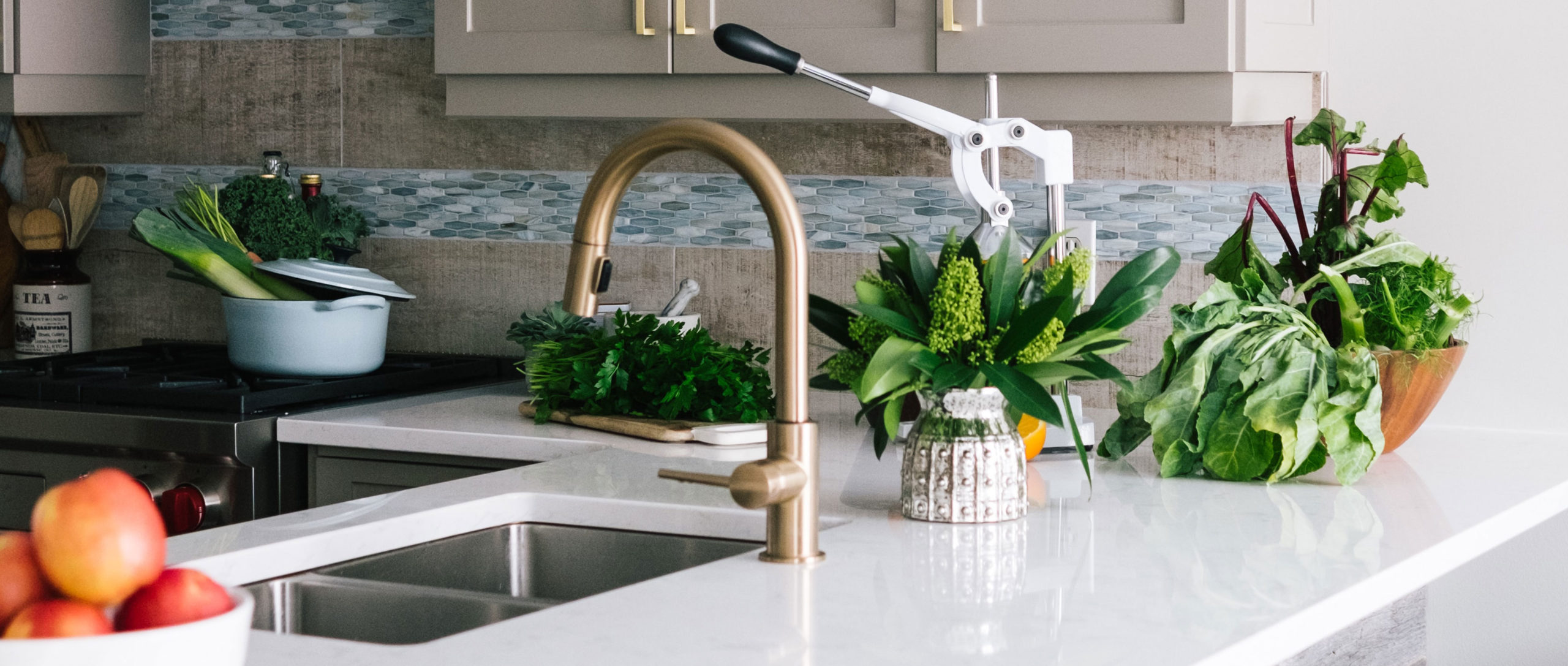 New design guide for the Sunshine Coast